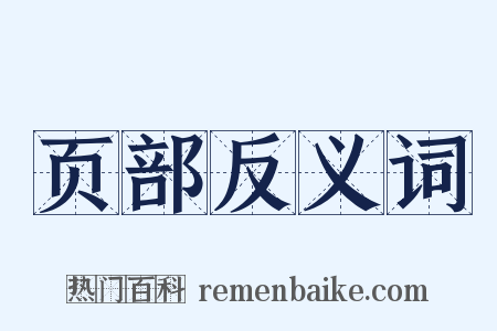 页部反义词是什么意思的图片